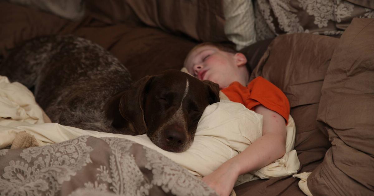 Als der 3beinige Hund des verstorbenen Obdachlosen auf diesen kleinen