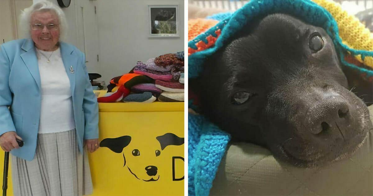 89Jährige strickt über 450 kuschelige Decken für Hunde im Tierheim