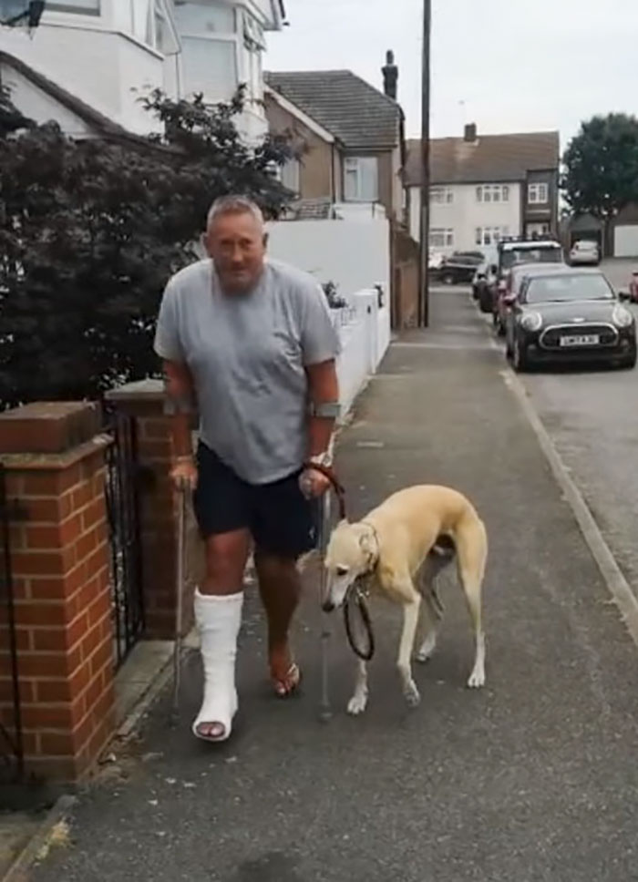 Mann bringt humpelnden Hund zum Tierarzt „Billy“ ahmte Herrchen aus